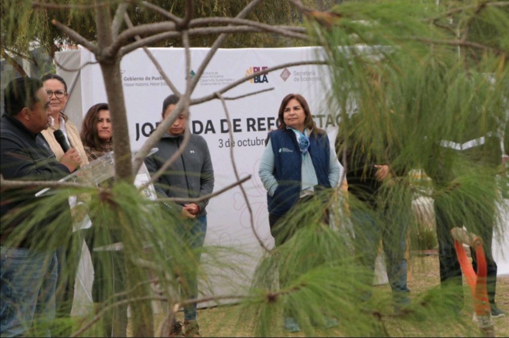 Cumple Medio Ambiente 76 jornadas de reforestación, suman 200 mil plantas