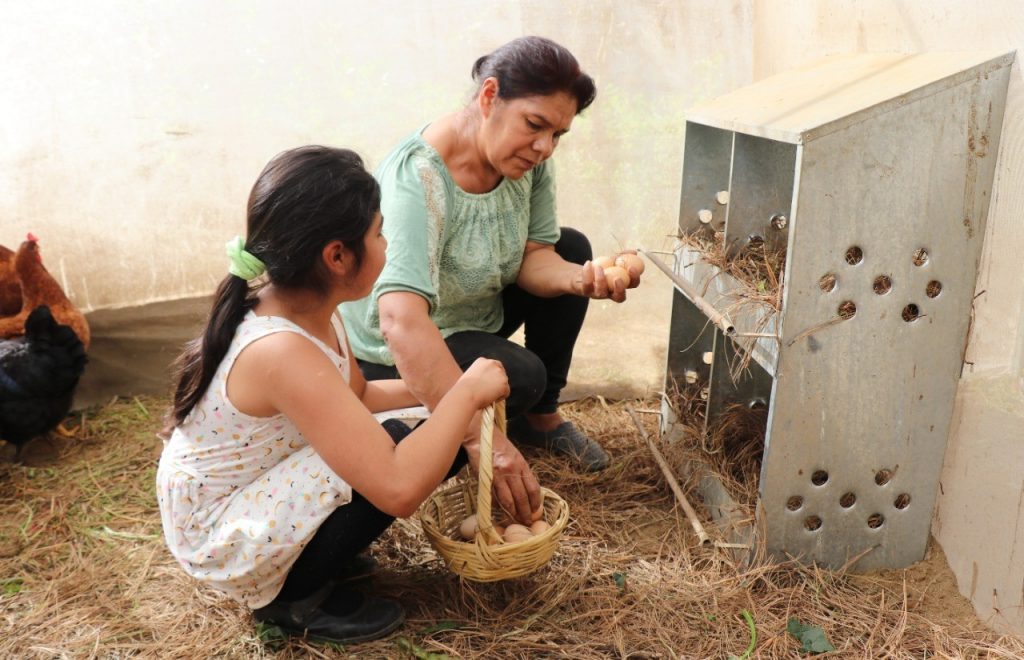 Con autosuficiencia alimentaria, fortalece Bienestar integración familiar