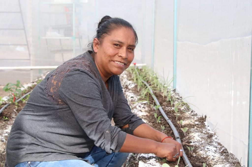 Con paso firme, Bienestar combate desigualdad en Acajete