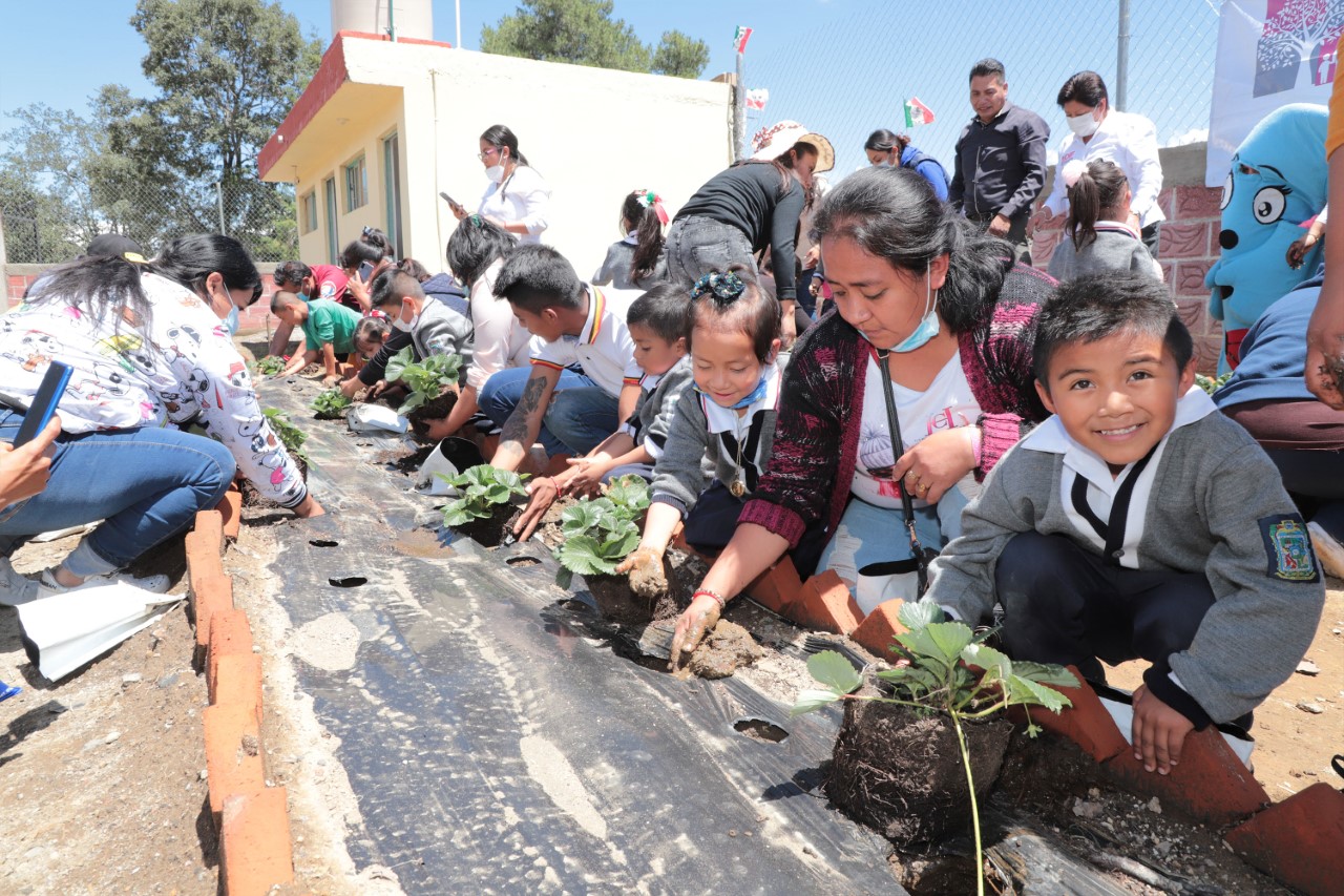 Anuncia SEDIF programa de “CAIC Verdes” en beneficio de las infancias poblanas