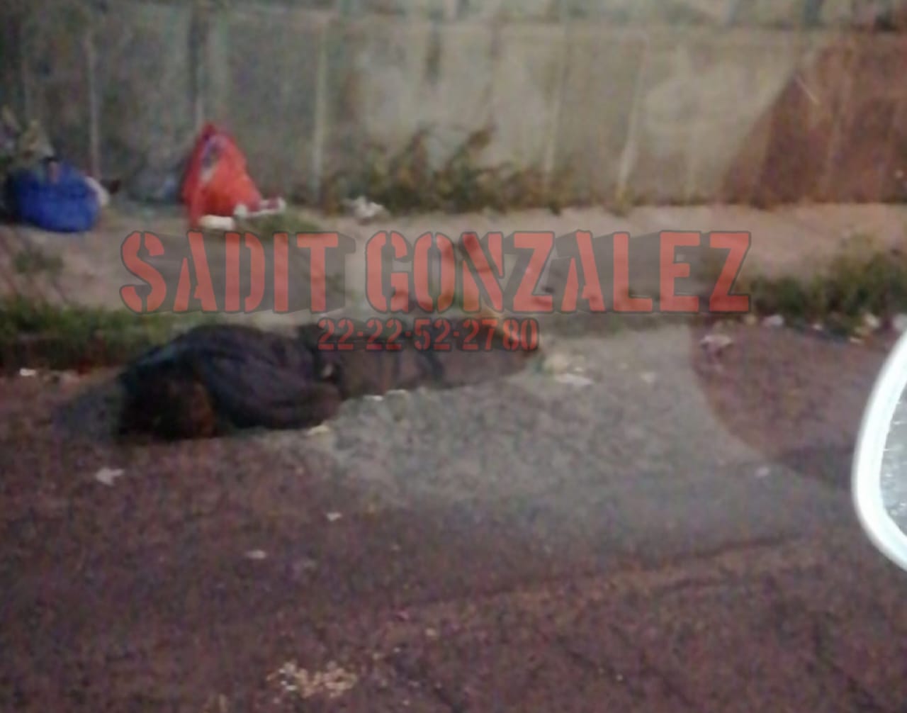 Video desde Puebla: Muere hombre en situación de calle en la colonia Insurgentes Norte