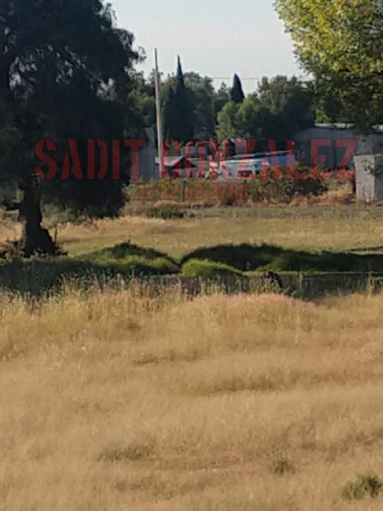 Atacan a balazos a ex delegada de Gobernación de Tepeaca