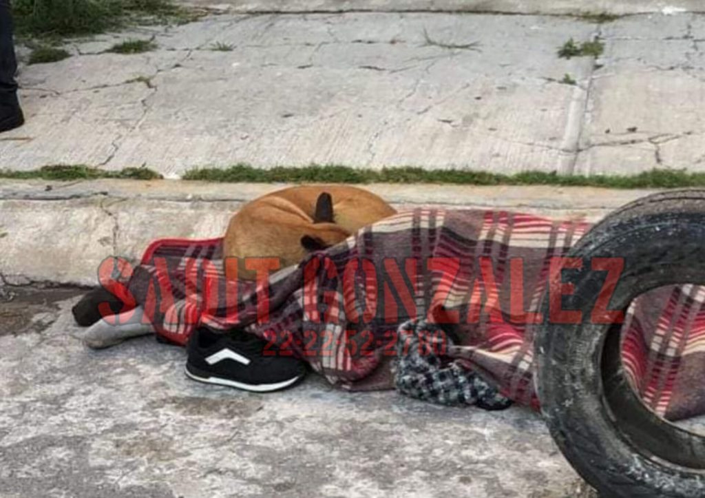 Mascota acompañó al dueño hasta su muerte en Puebla