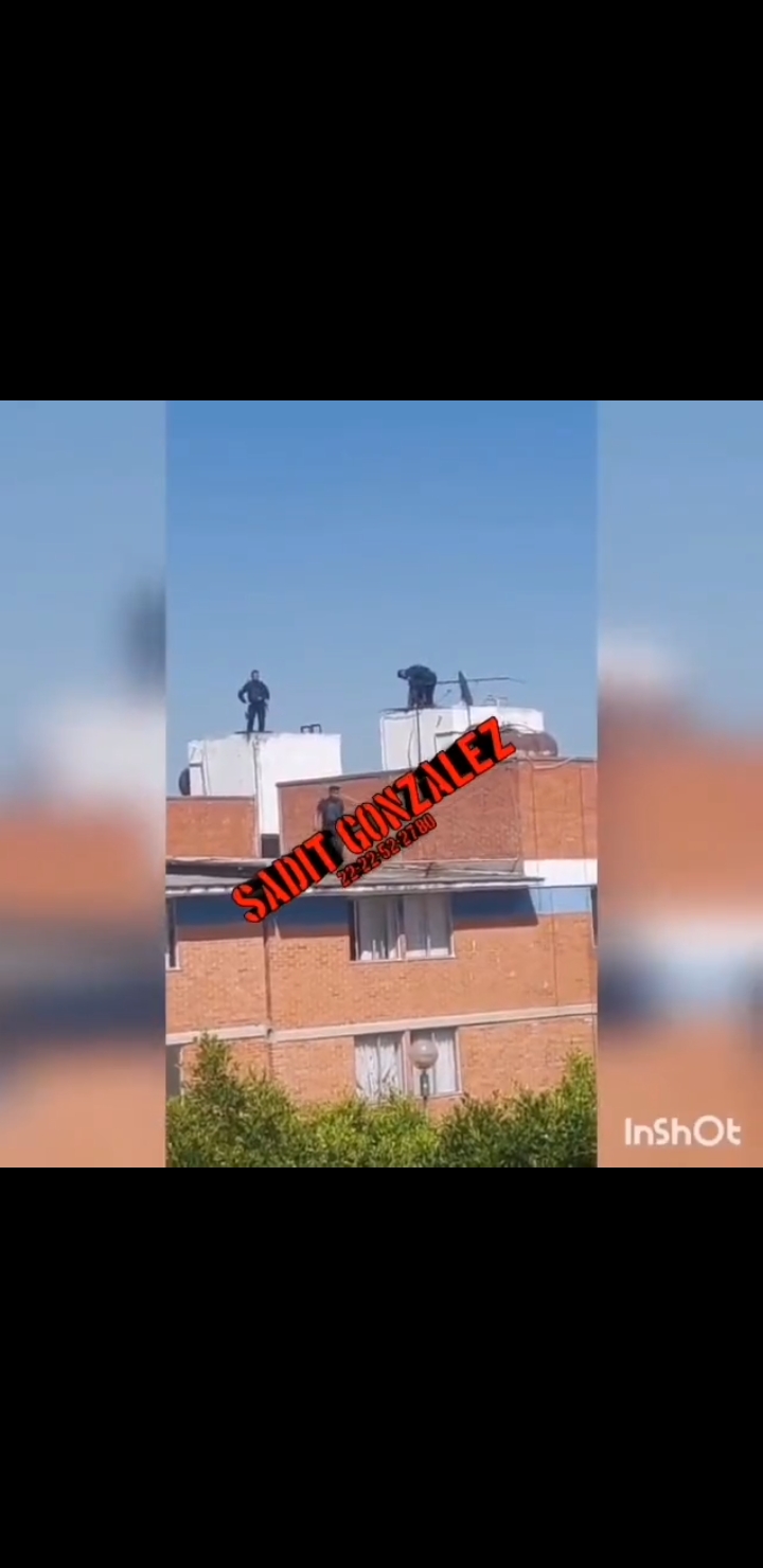 Video desde Puebla: Ratero se metió a un tinaco para no ser capturado