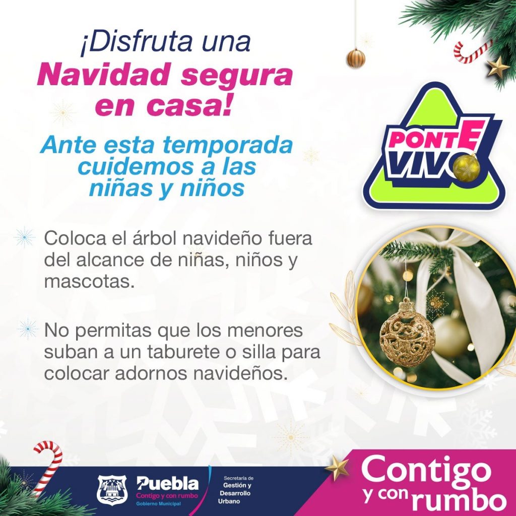Sigue en tu casa estas recomendaciones para una navidad segura