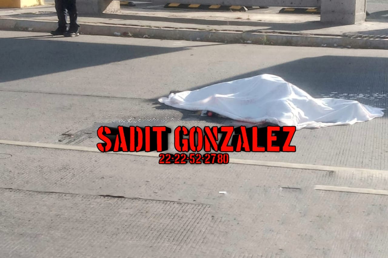 Muere abuelito atropellado por unidad de transporte público en bulevar Municipio Libre