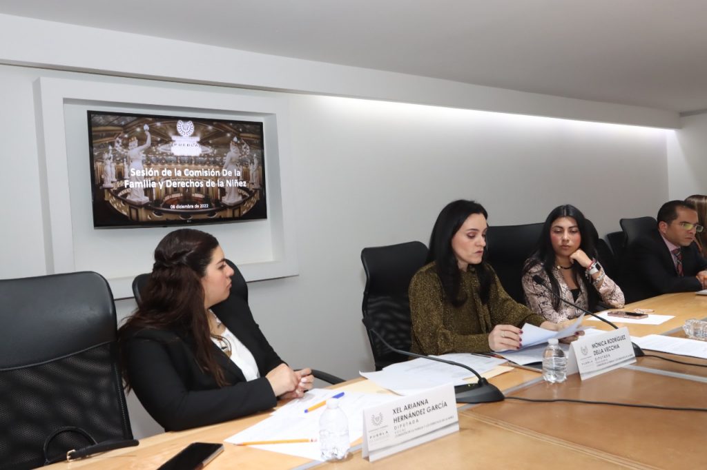 Analizan en Comisión de la LXI Legislatura propuesta de iniciativa en materia de adopción de menores