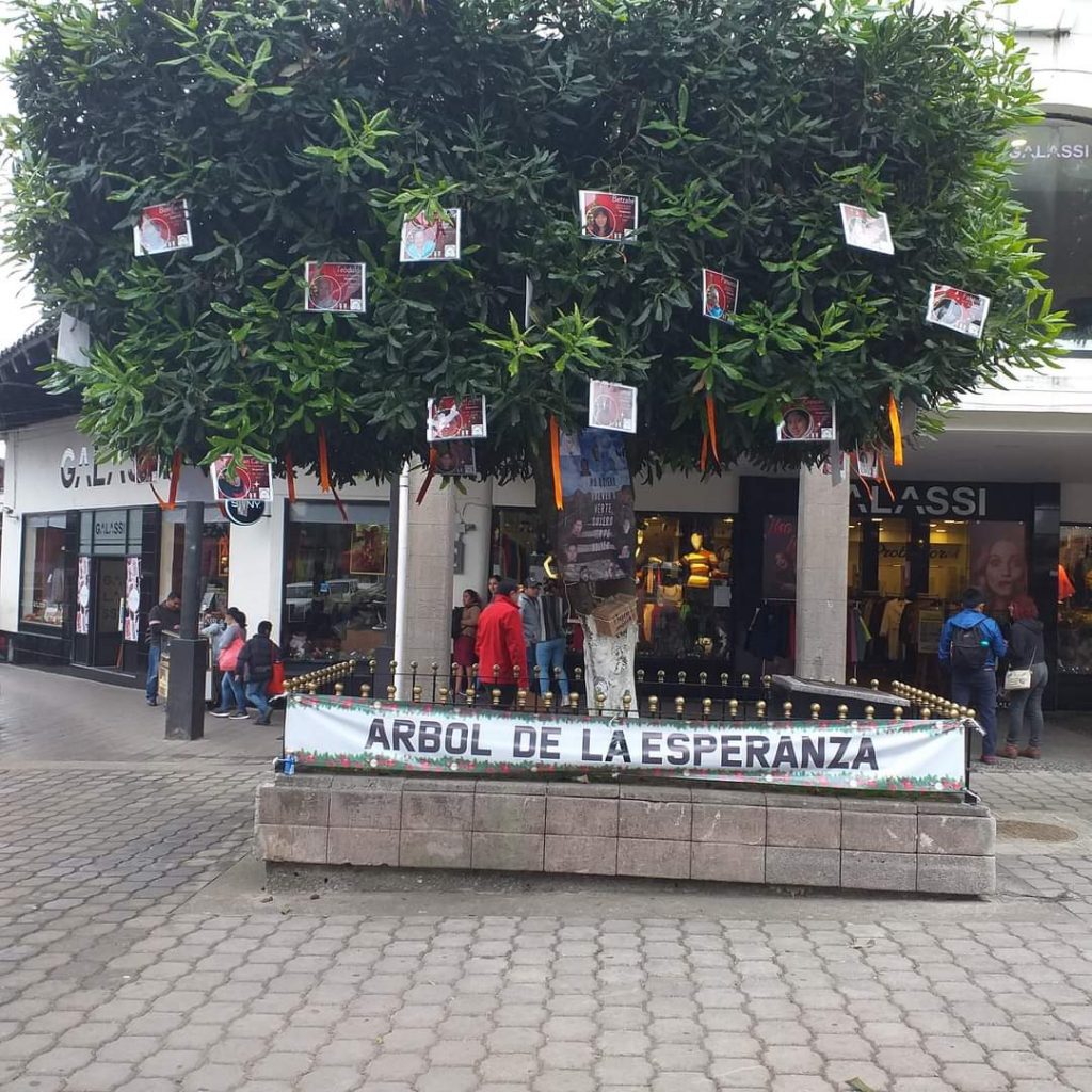 Desde Huauchinango: Cuelgan fotos de personas desaparecidas