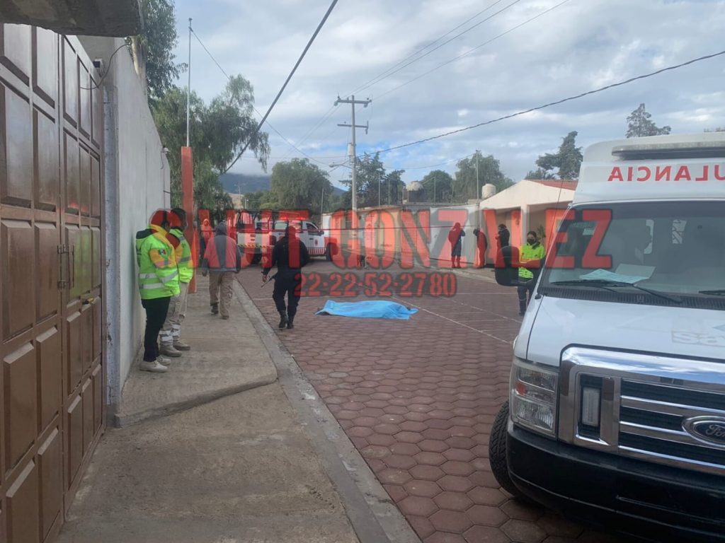 Muere atropellado en Palmar de Bravo