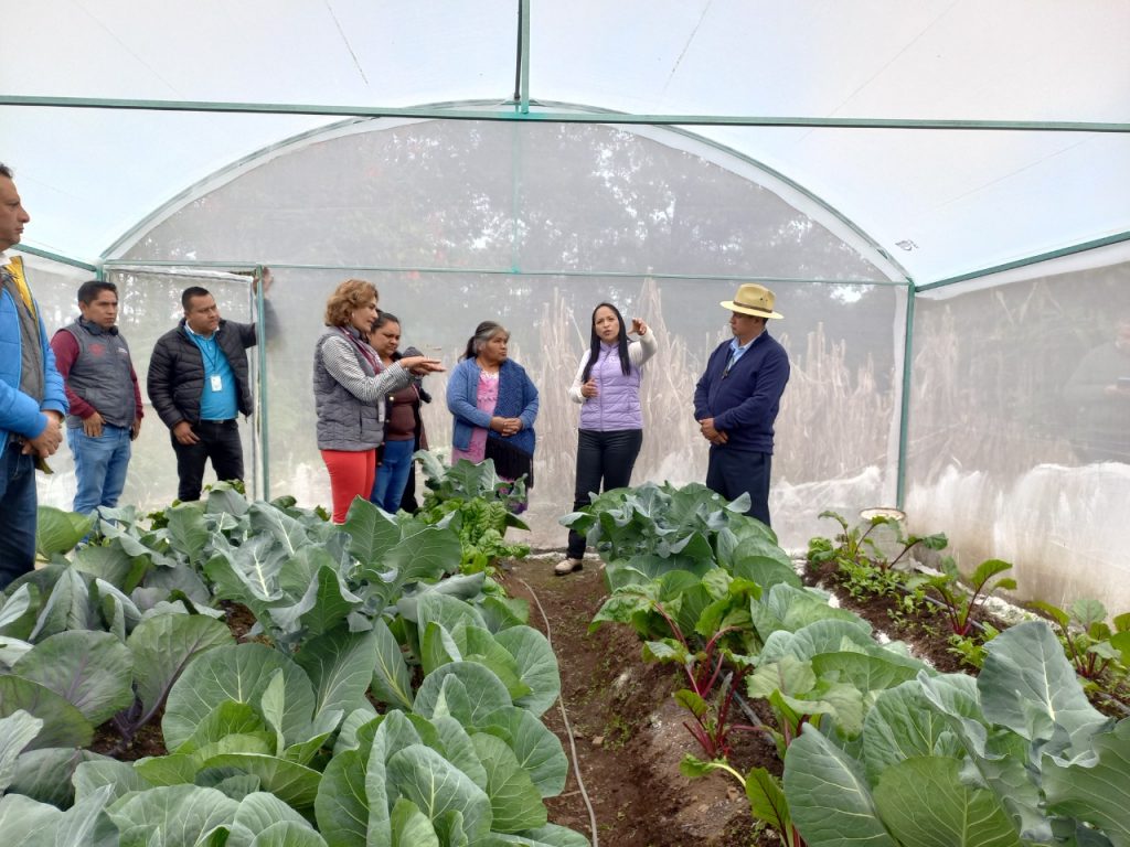 Con Programa Alimentario, Bienestar favorece a habitantes de Yaonáhuac