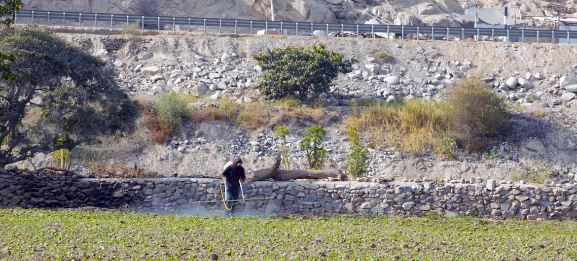 La salud de diez millones de peruanos está en riesgo por el envenenamiento del agua con sustancias tóxicas