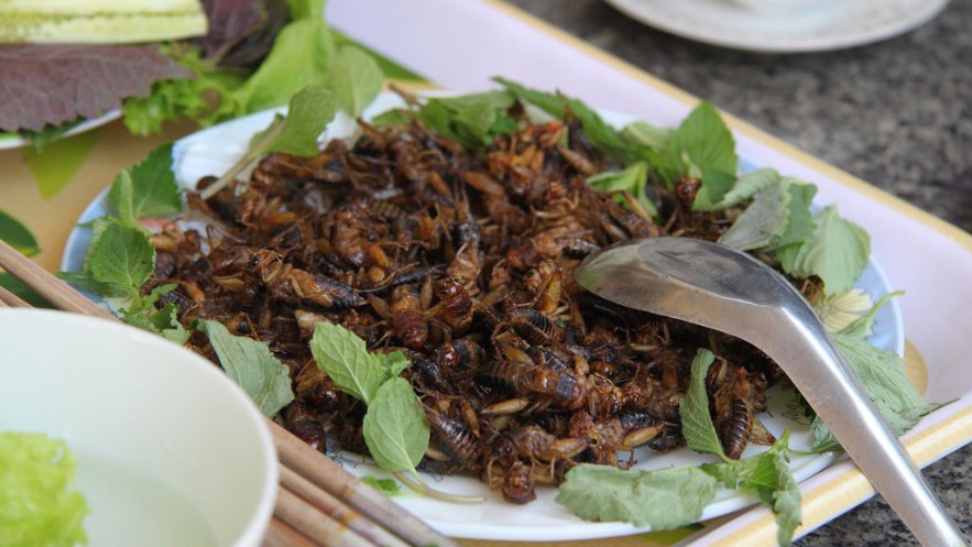 ¿Comer insectos? Sí, pero sin reconocer su forma en el plato