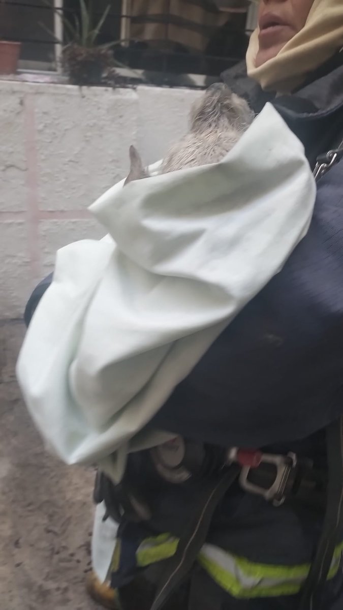 Dos personas con quemaduras al incendiarse su casa en Mayorazgo