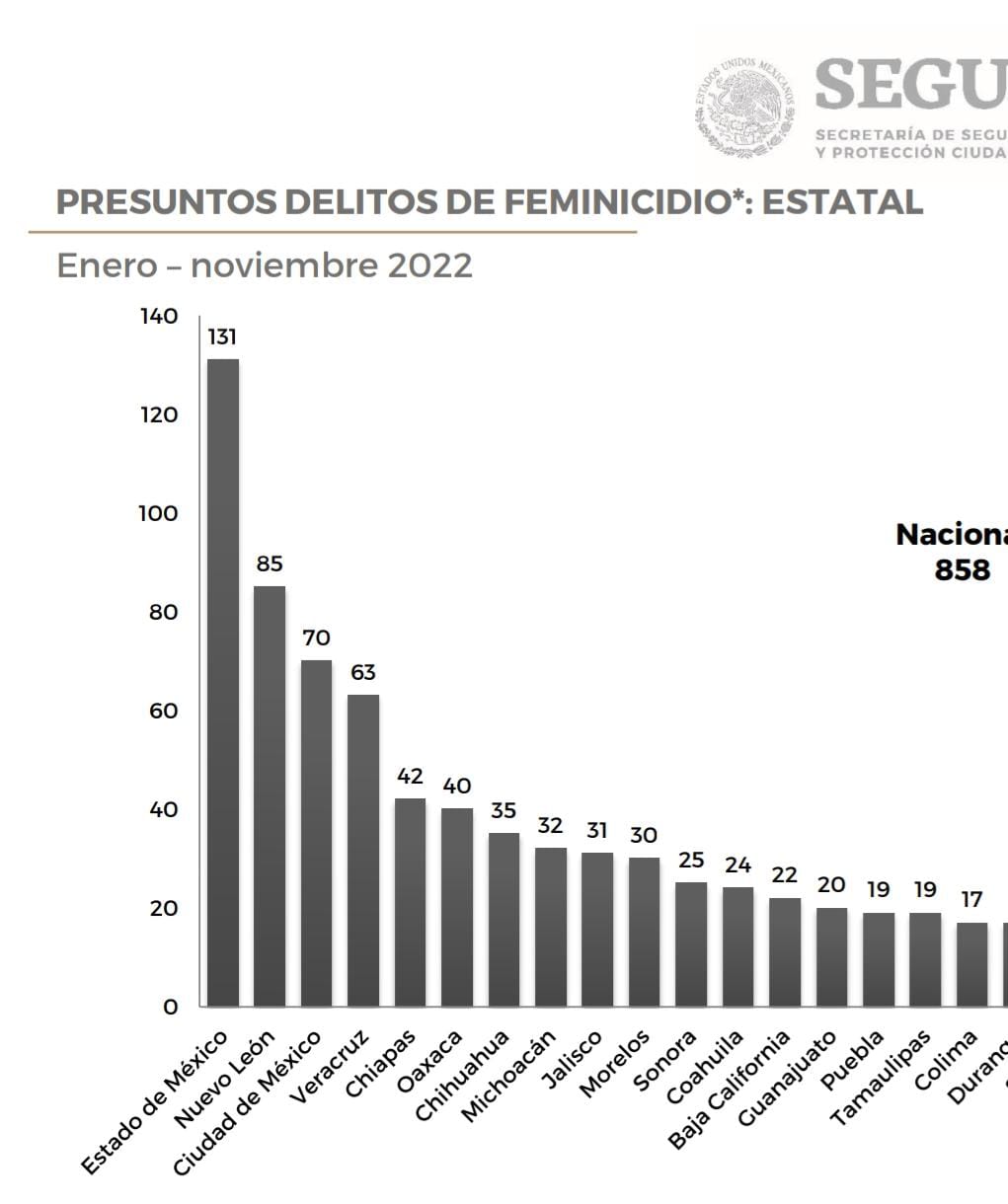 Puebla: Entre enero y noviembre de 2022 registró 19 feminicidios y 262 homicidios contra mujeres