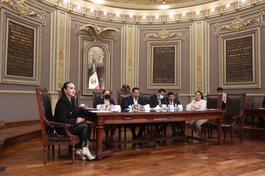 Presentan en el Congreso del Estado iniciativa para prohibir la venta de perros y gatos de criaderos
