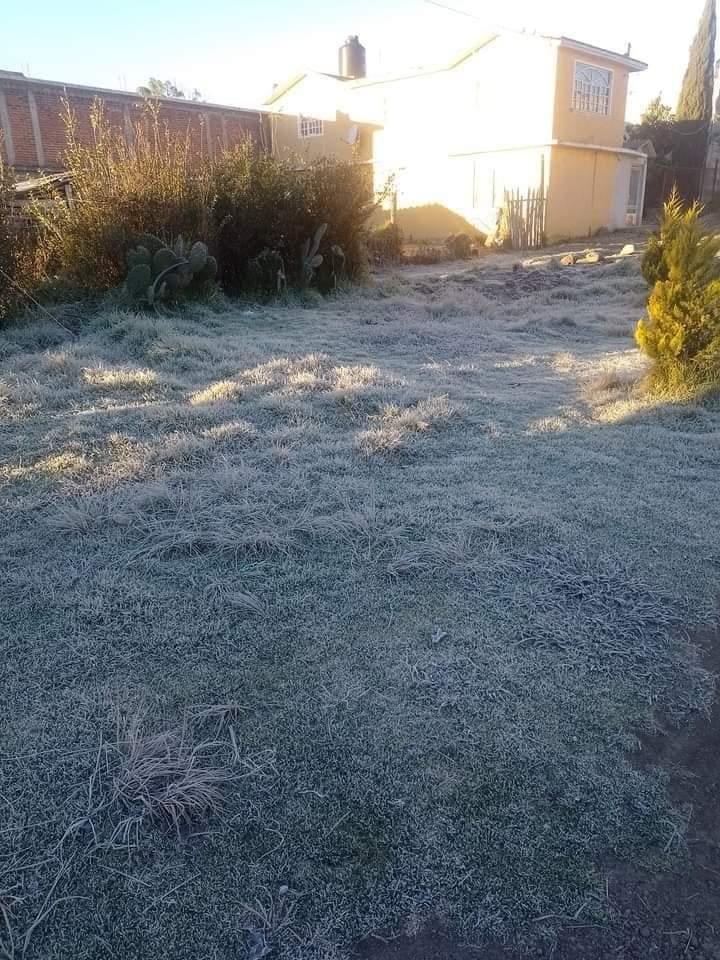 Fotonota: Helada en la Sierra Norte de Puebla