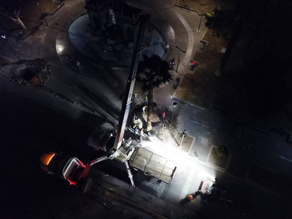 Paseo Bravo y avenida Juárez estrenan palmeras