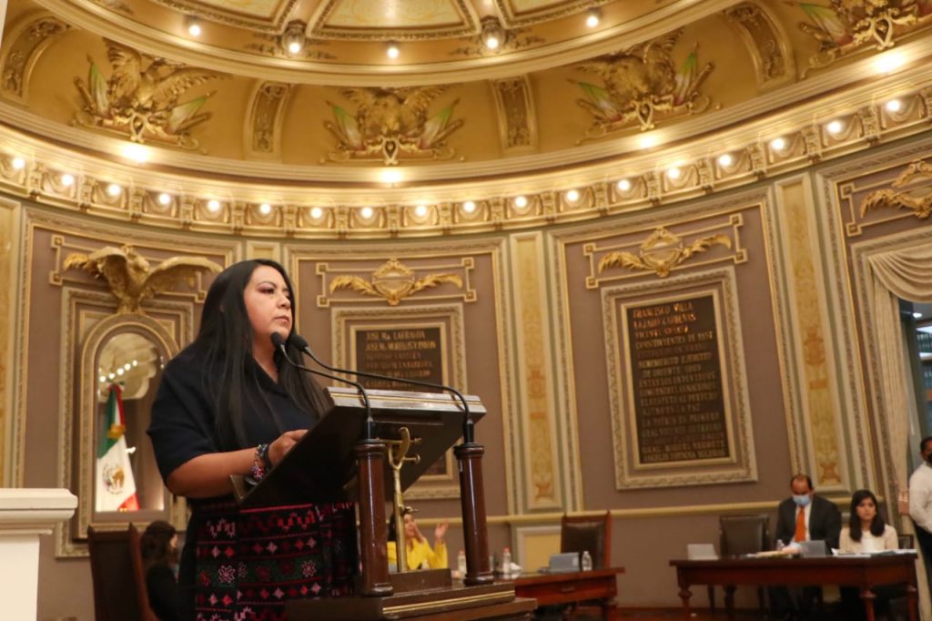 Puebla producirá 3 millones de litros de agave mezcalero, informó Laura Altamirano