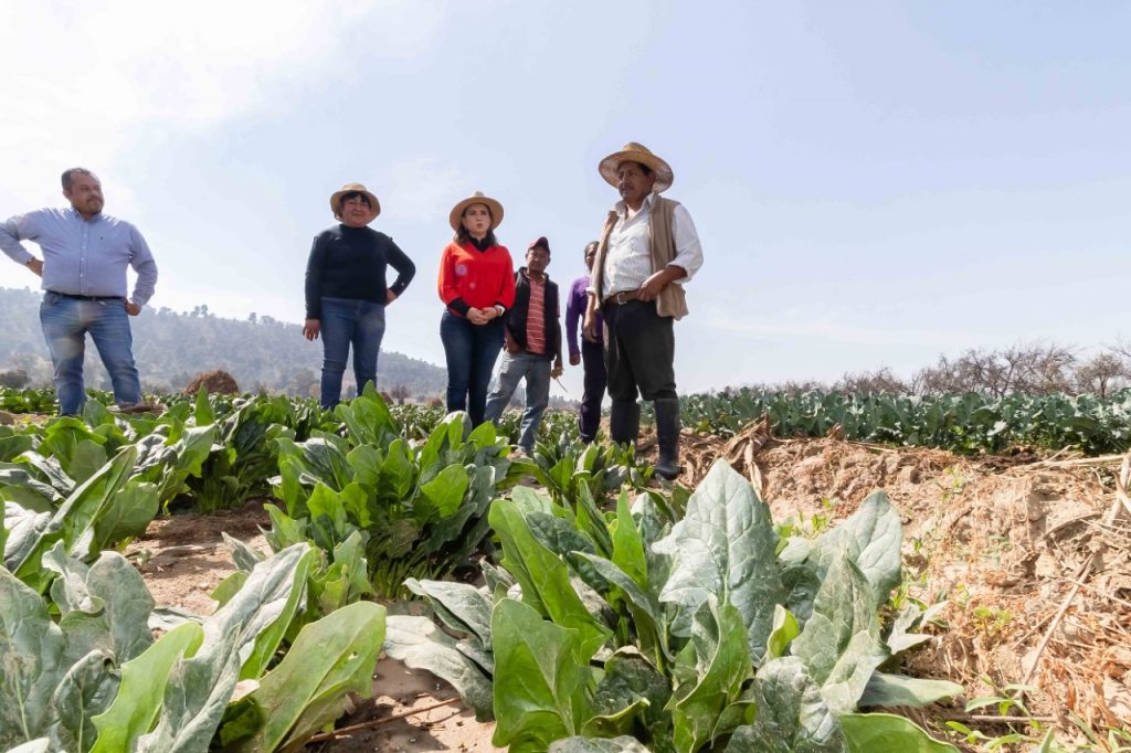Apoyo al campo cholulteca es compromiso permanente del gobierno municipal: Paola Angon