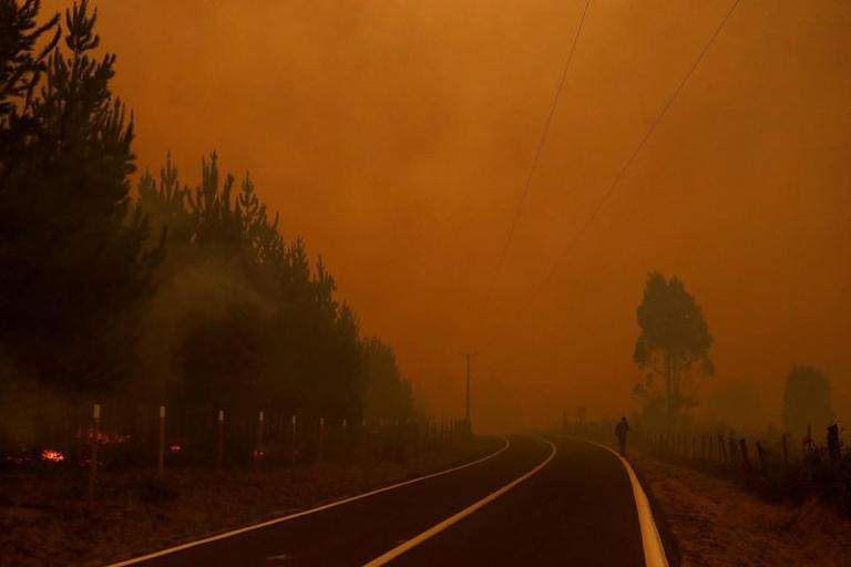 Ola de incendios forestales continúa arrasando centro sur de Chile; llega ayuda internacional