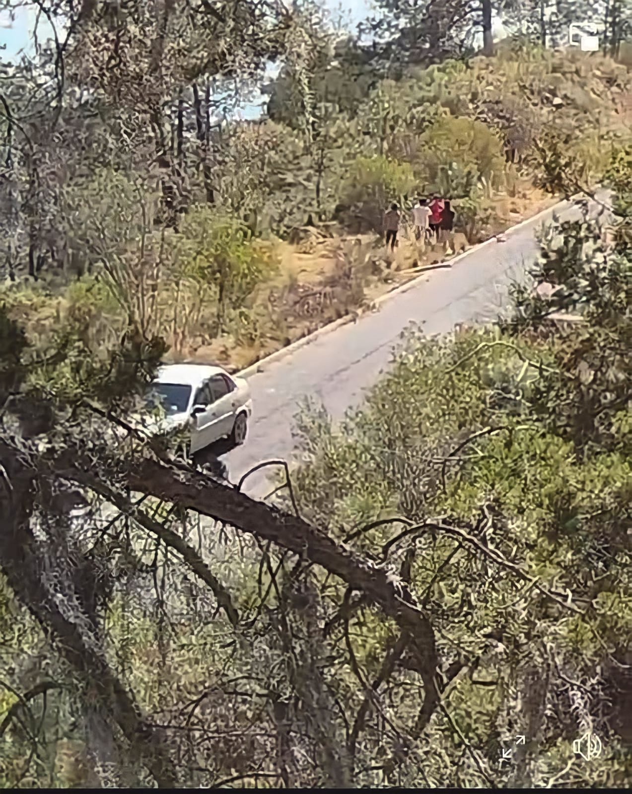 Encontraron 5 cadáveres en la carretera de Libres