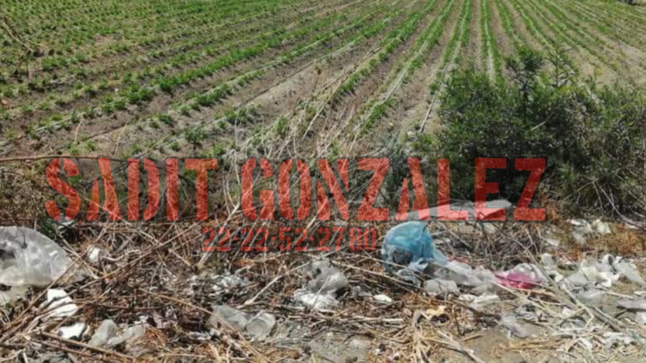 Encuentran cadáver de un hombre en terrenos de cultivo en Acatzingo