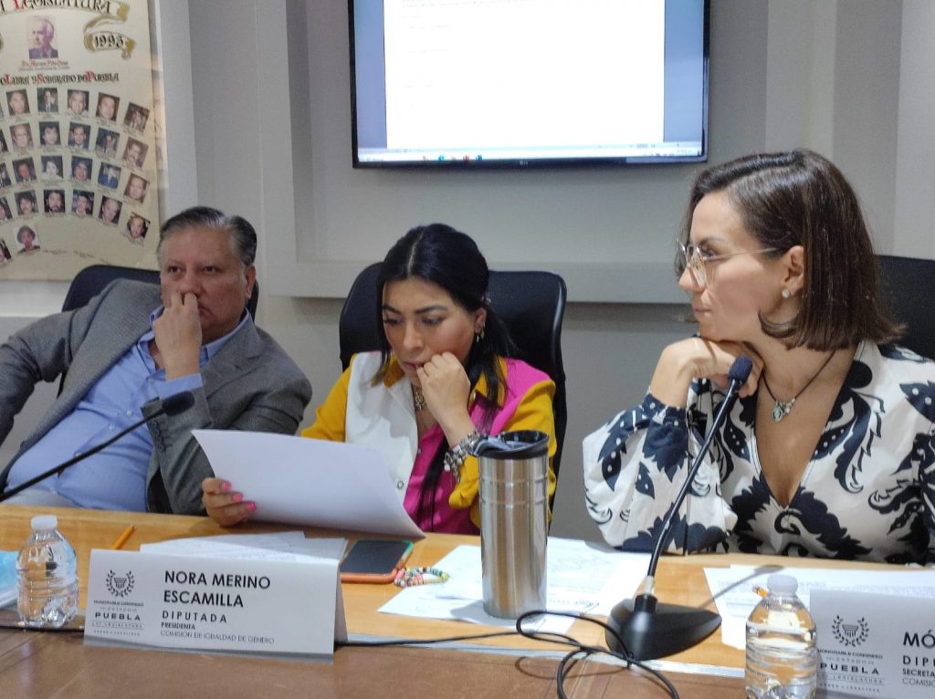 Avalan en Comisión Iniciativa para promover la corresponsabilidad entre mujeres y hombres en actividades de cuidado