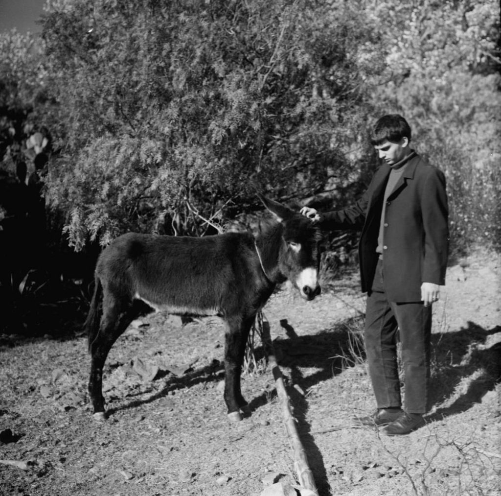 SECULT invita a concierto de rock en Real de Catorce