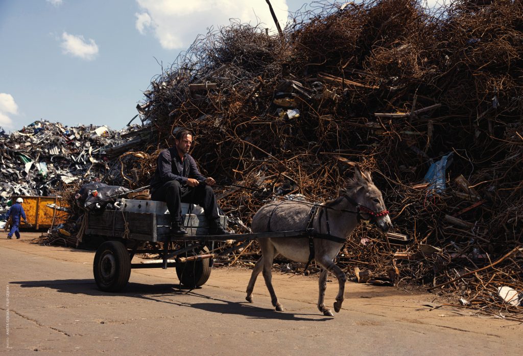 Última semana de “EO” Y “¡Qué Viva México!” en Cineteca Alameda