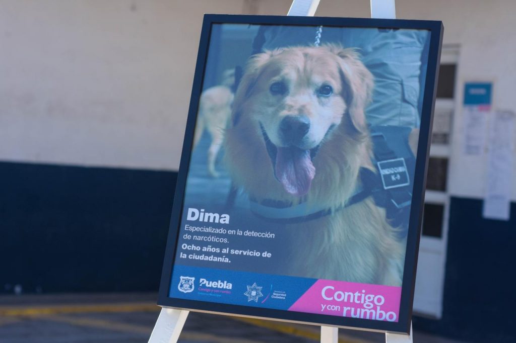 Video desde Puebla; Homenaje póstumo a Dima, perro que sí sirvió 8 años en Seguridad Pública municipal
