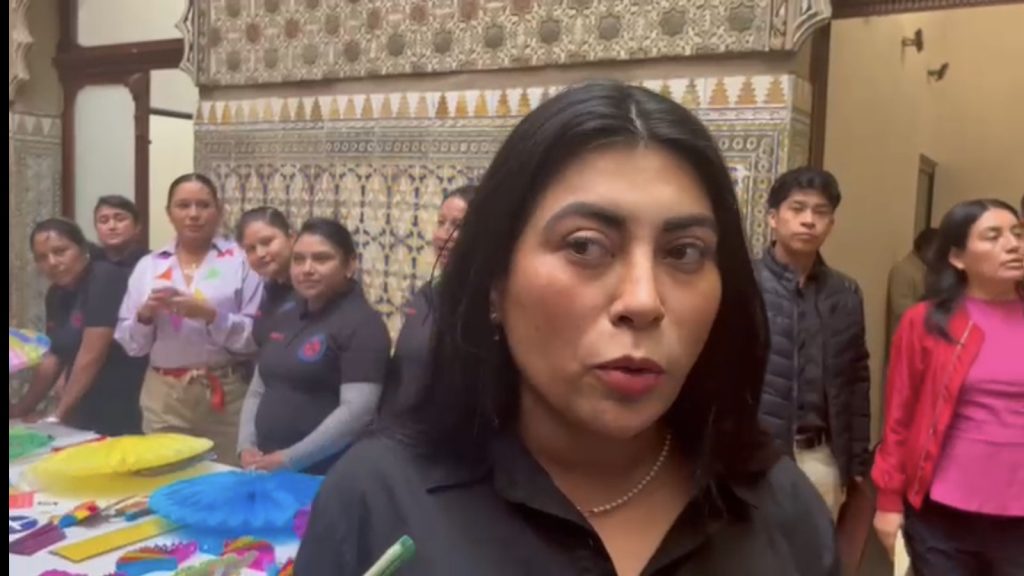 Propone Nora Merino reformar la ley para impedir a violentadores o deudores alimentarios acceder a un cargo público