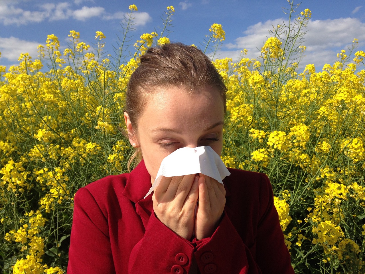 ¿La primavera te hace estornudar? No eres el único, el 7% de los mexicanos padece algún tipo de alergia estacional, pero pocos lo saben
