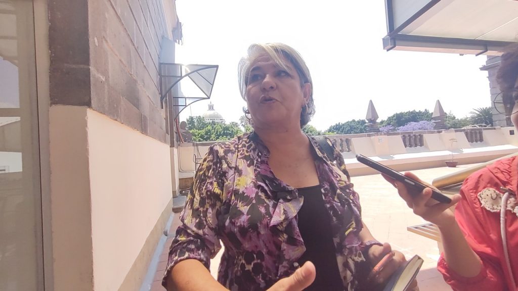 50 mil pesos cada una, el costo de las palmeras con que se repondrán las retiradas en la zona de El Alto: Myriam Arabian