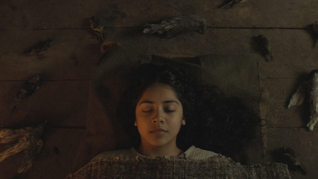 “Brujería” en Cineteca Alameda