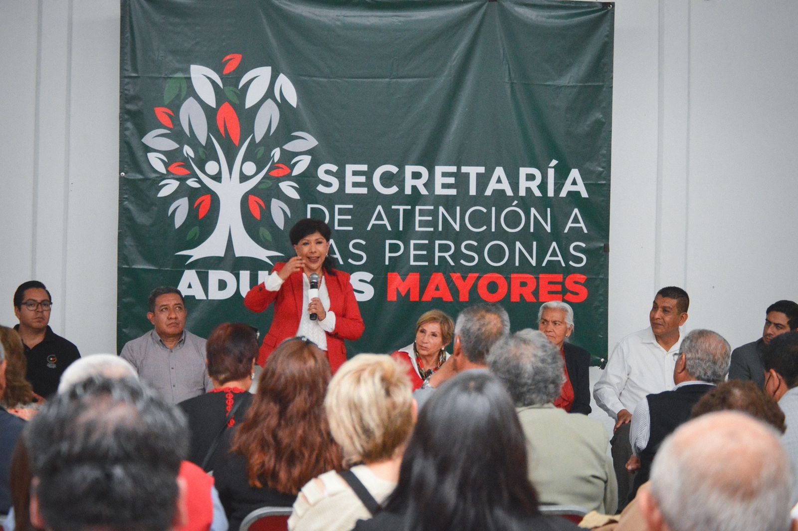 Adultos mayores y PRI forjaron el progreso del país