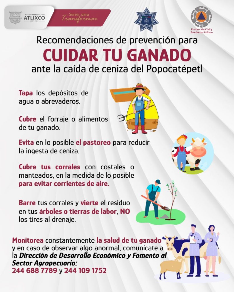 Desde Atlixco: Ariadna Ayala emite recomendaciones para cuidar ganado y mascotas