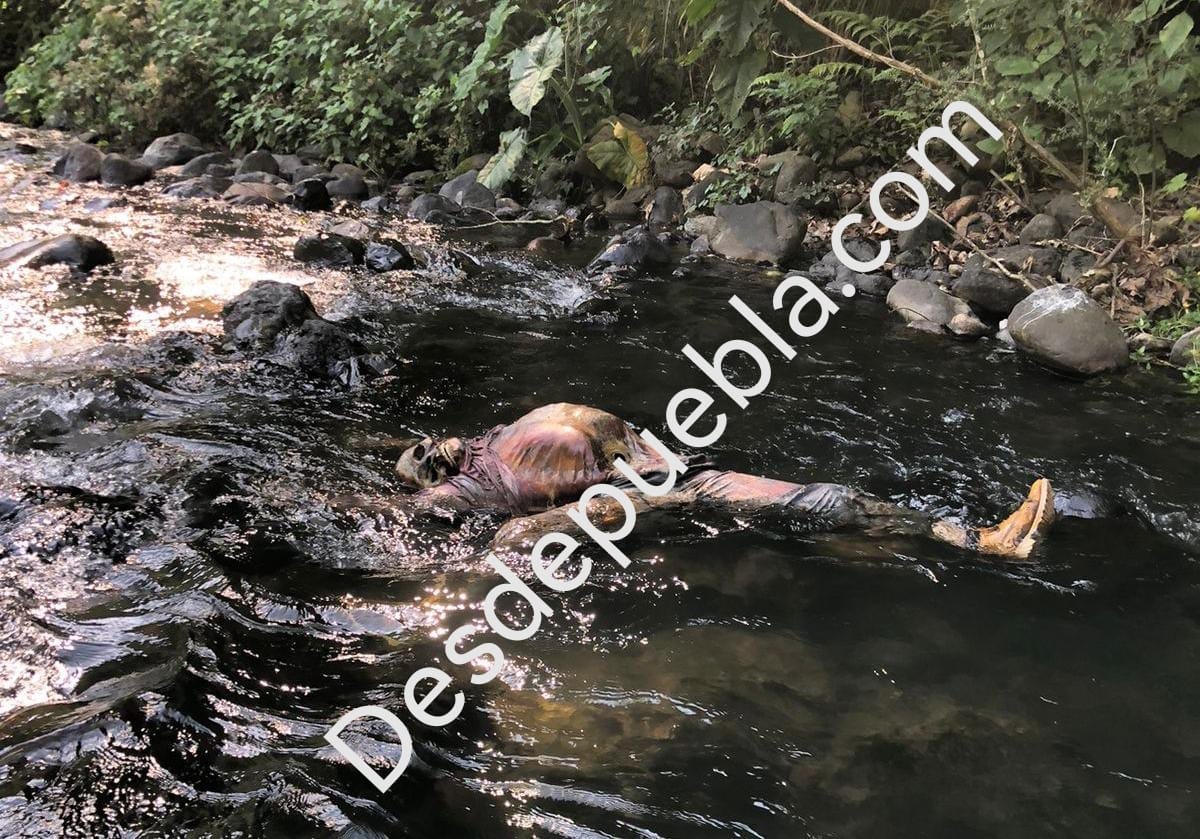En días seguidos, encuentran sendos cadáveres en cauce de río de Huauchinango