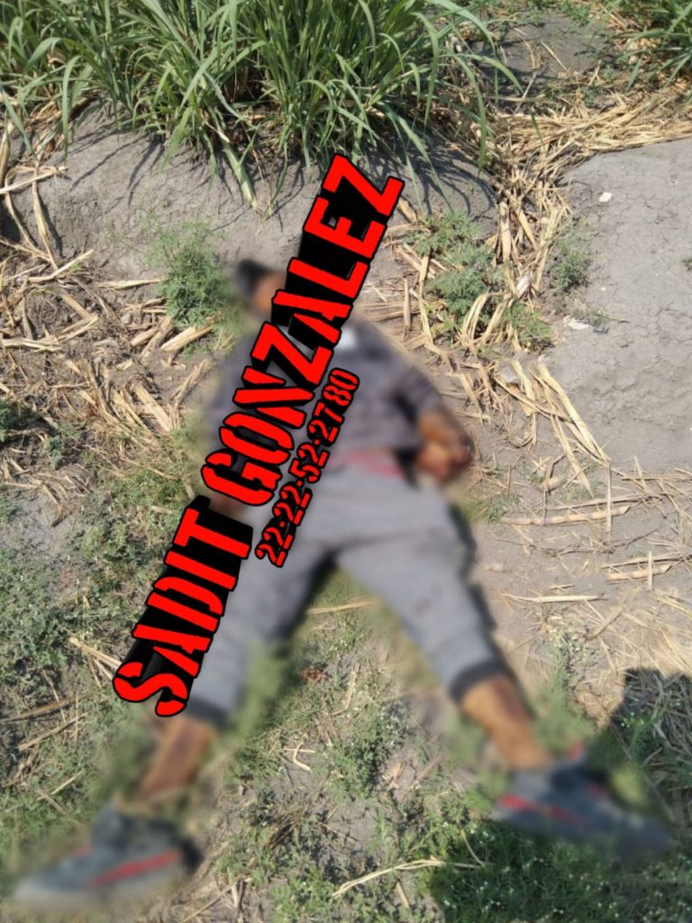Lo encontraron mutilado de las manos en las cañas de Atencingo