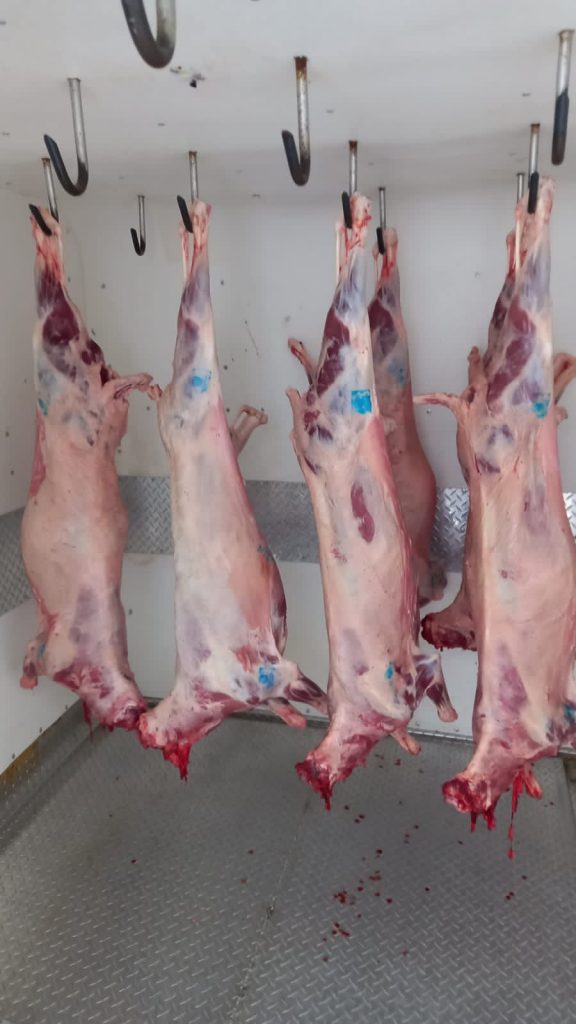 Rastro de Teziutlán, libre de Clembuterol avalado por la DEPRIS