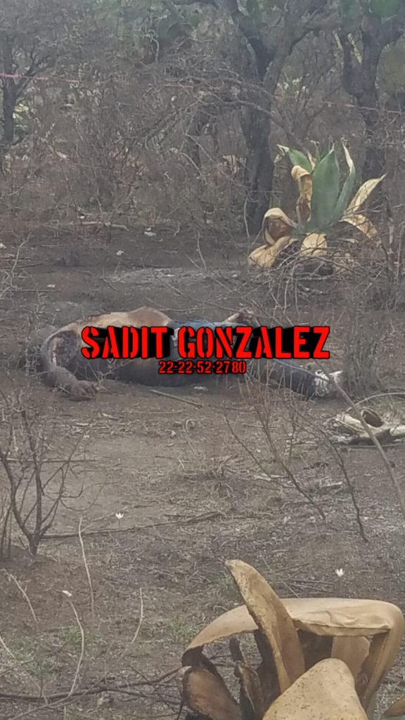 Hallan cadáver de un hombre en descomposición en Tecamachalco