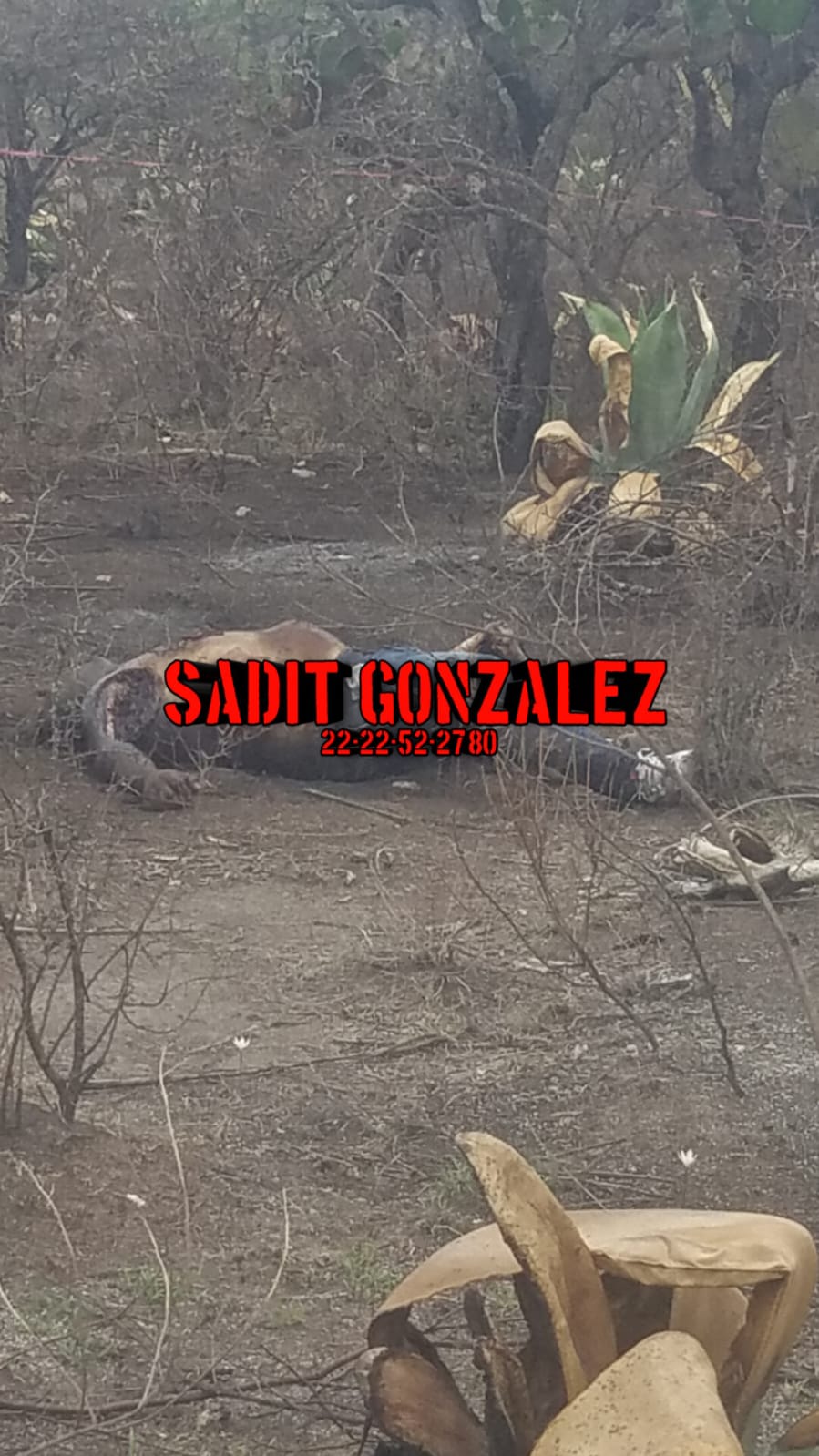 Hallan cadáver de un hombre en descomposición en Tecamachalco