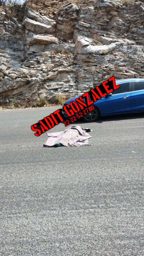 Intentó cruzar el periférico y murió atropellada