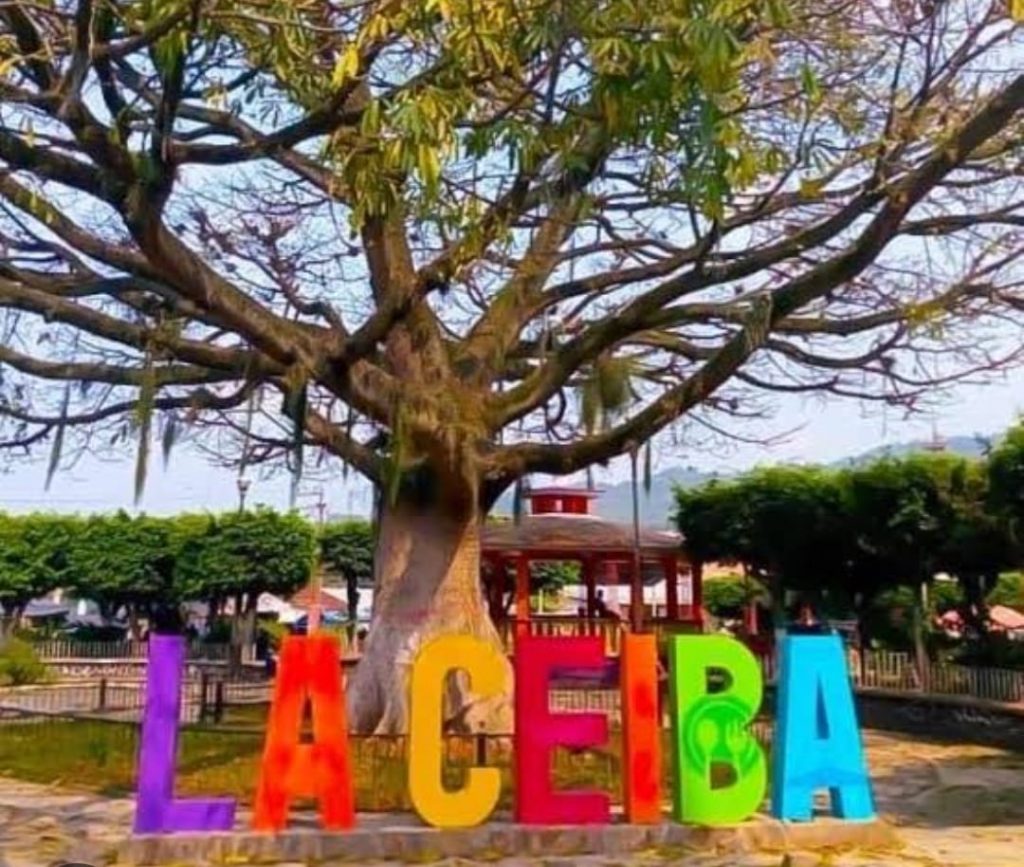 Hallan sin vida a mujer reportada como desaparecida en Xicotepec