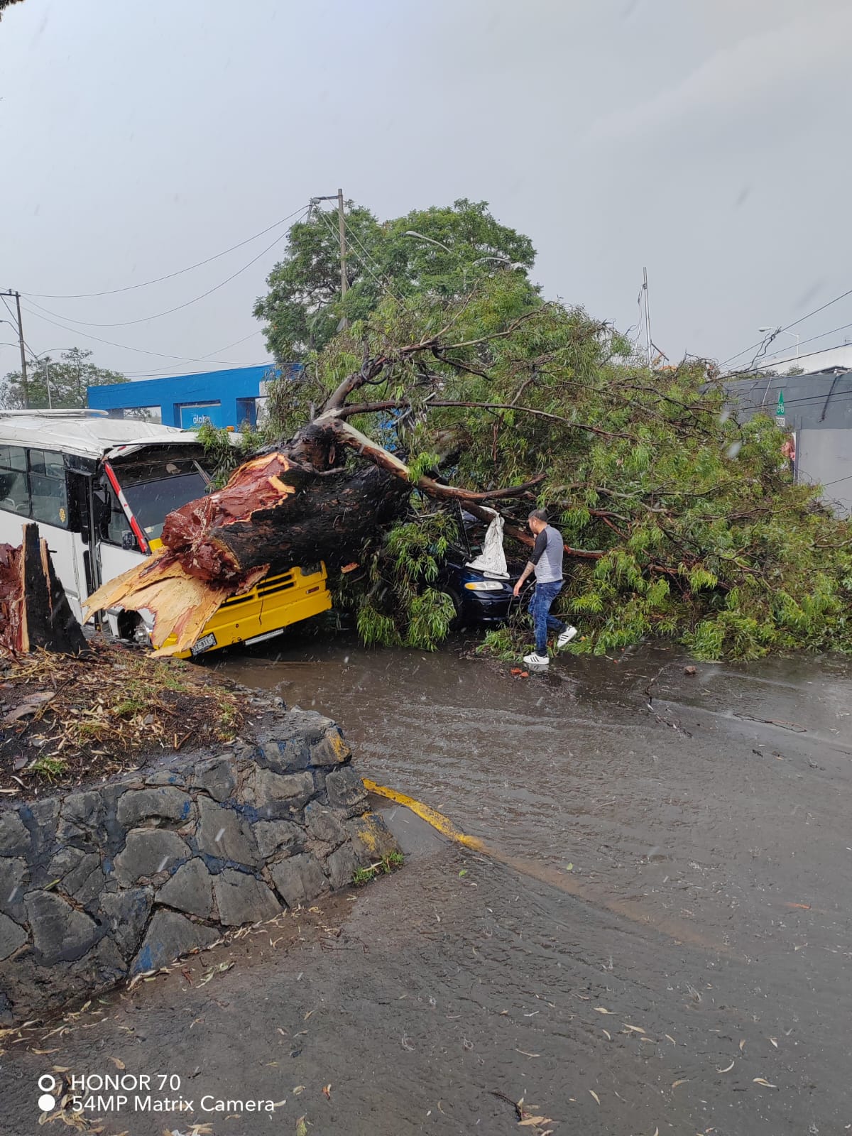 Video desde Puebla: Inundaciones, caídas de árboles, pero sin lesionados graves por la tromba de esta tarde