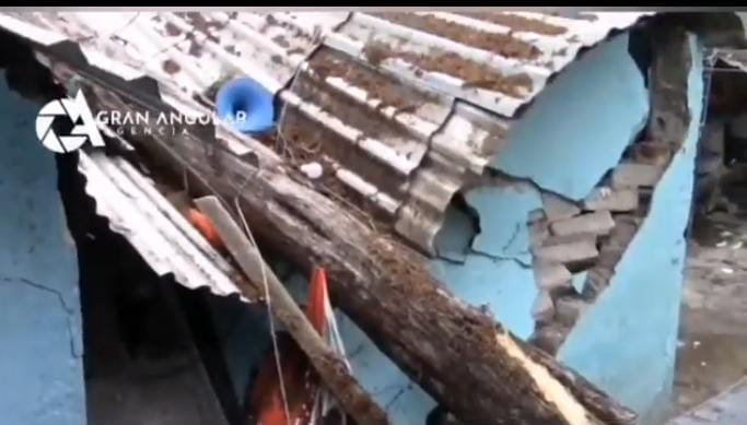 Video desde Puebla: En la tromba de ayer, árbol destruyó una casa en calle Virgen colonia Luz de Alba