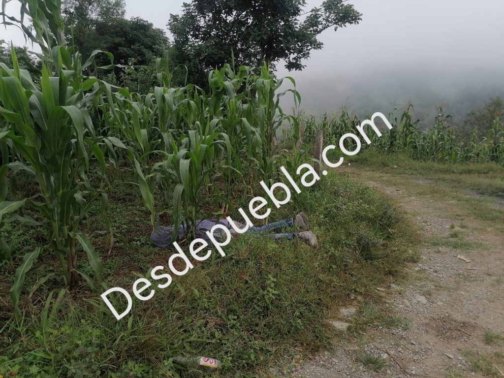 Desapareció el viernes y lo encontraron muerto en Chiconcuautla