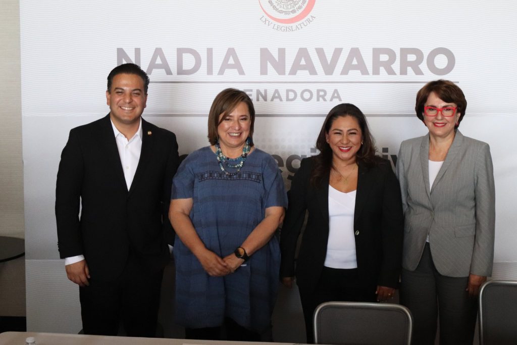 Senadores que se oponen a nombrar comisionados del INAI podrían ser destituidos: Zepeda Vidales