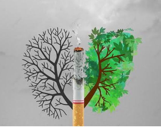 Cambia cigarros por un árbol