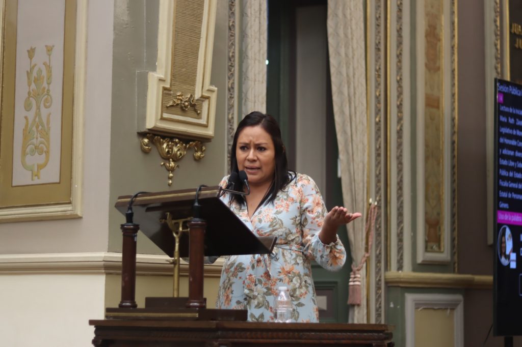 “Puebla necesita un registro de agresores sexuales y violentadores de género”: Ruth Zárate Domínguez