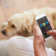 Tres tendencias digitales y tecnológicas que están ayudando a mejorar el cuidado de la salud de las mascotas